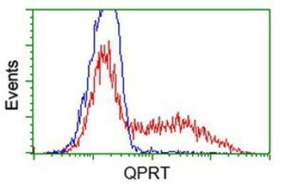 Flow Cytometry: QPRT Antibody (OTI1C10) - Azide and BSA Free [NBP2-73761]