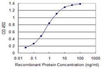 ELISA: RAB1B Antibody (1B2) [H00081876-M02]