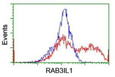 Flow Cytometry: RAB3IL1 Antibody (OTI1B5) [NBP2-03780]