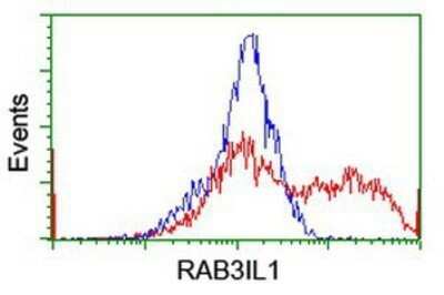 Flow Cytometry: RAB3IL1 Antibody (OTI1B5) - Azide and BSA Free [NBP2-73774]