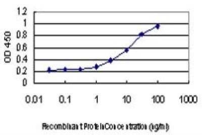 ELISA: RAB6A Antibody (3G3) [H00005870-M01]