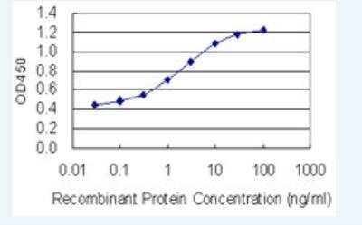 ELISA: RAB6B Antibody (1A5) [H00051560-M02-100ug]