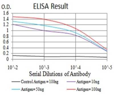 ELISA: RAB6B Antibody (6D12E4) - BSA Free [NBP2-61825]