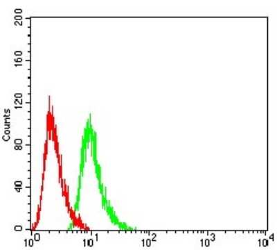 Flow Cytometry: RAB6B Antibody (6D12E4) - BSA Free [NBP2-61825]