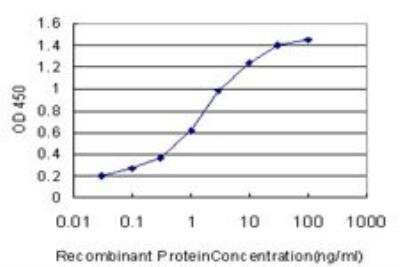 ELISA: RAB7B Antibody (3B3) [H00338382-M01]