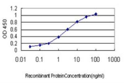 ELISA: RAB8A Antibody (3G1) [H00004218-M02]
