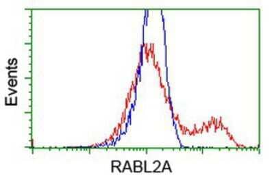 Flow Cytometry: RABL2A Antibody (OTI4A8) [NBP2-03281]