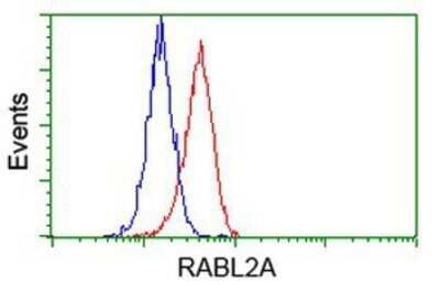 Flow Cytometry: RABL2A Antibody (OTI4A8) - Azide and BSA Free [NBP2-73776]