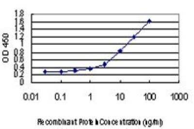 ELISA: RAD18 Antibody (3H7) [H00056852-M01]