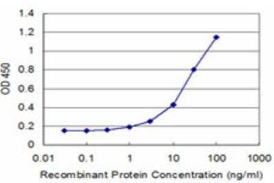 ELISA: RAG2 Antibody (2G8) [H00005897-M06]