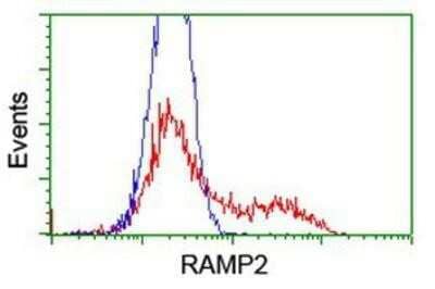 Flow Cytometry: RAMP2 Antibody (OTI4E5) [NBP2-01853]