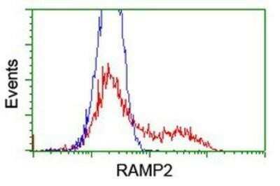 Flow Cytometry: RAMP2 Antibody (OTI4E5) - Azide and BSA Free [NBP2-73796]