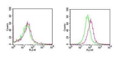 Flow Cytometry: RANK/TNFRSF11A Antibody (64C1385.1) - Azide Free [NBP2-33256]