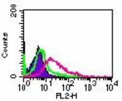 Flow Cytometry: RANK/TNFRSF11A Antibody (64C1385.1) - BSA Free [NBP2-24702]