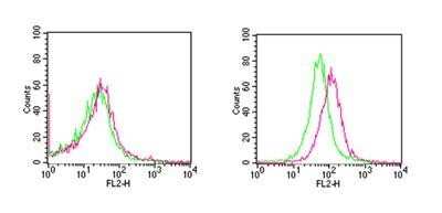 Flow Cytometry: RANK/TNFRSF11A Antibody (64C1385.1) - BSA Free [NBP2-24702]