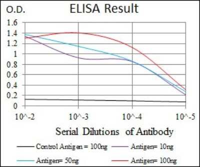 ELISA: RAP1A Antibody (5F8) - BSA Free [NBP2-37496]