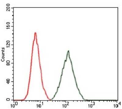 Flow Cytometry: RAP1A Antibody (5F8) - BSA Free [NBP2-37496]
