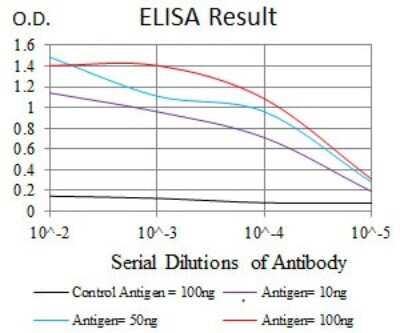 ELISA: RAP1A Antibody (5F8G2) - BSA Free [NBP2-37495]