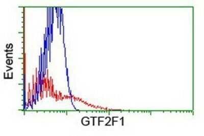 Flow Cytometry: RAP74 Antibody (OTI4B10) - Azide and BSA Free [NBP3-17972]