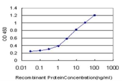 ELISA: RASGRP2 Antibody (3D8) [H00010235-M09]