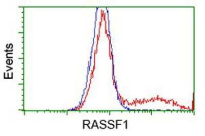 Flow Cytometry: RASSF1 Antibody (OTI2B11) [NBP2-03644]