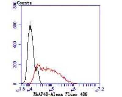 Flow Cytometry: RBBP4/RbAp48 Antibody (JU37-47) [NBP2-75642]