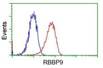 Flow Cytometry: RBBP9 Antibody (OTI4G3) [NBP2-03025]