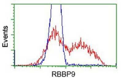 Flow Cytometry: RBBP9 Antibody (OTI4G3) [NBP2-03025]