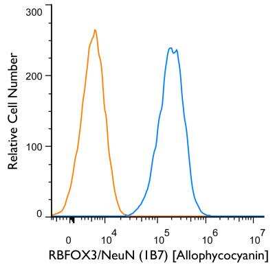 Flow Cytometry of U87MG Cells Stained with Allophycocyanin Conjugated RBFOX3/NeuN Antibody