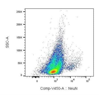 Flow Cytometry of Mouse Derived Mononuclear Cells Stained with Biotin Conjugated RBFOX3/NeuN Antibody