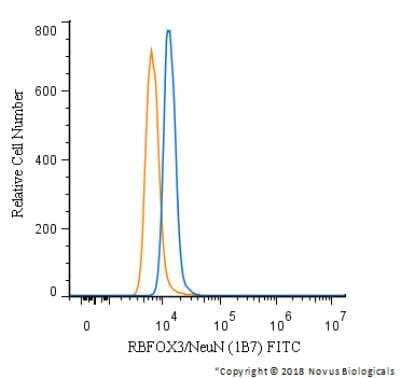 Flow Cytometry of A549 Cells Stained with FITC Conjugated RBFOX3/NeuN Antibody