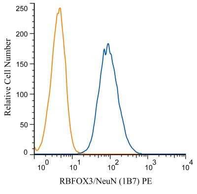 Flow Cytometry of SH-SY5Y Cells Stained with Phycoerythrin Conjugated RBFOX3/NeuN Antibody