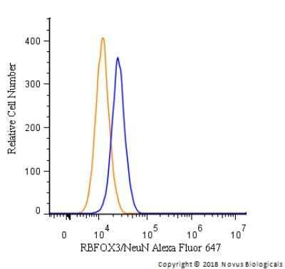 Flow Cytometry: RBFOX3/NeuN Antibody - BSA Free [NBP1-77686]