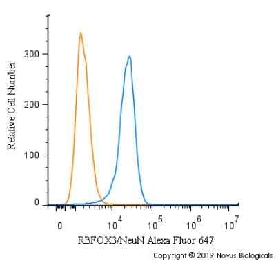 Flow Cytometry: RBFOX3/NeuN Antibody - BSA Free [NBP1-77686]