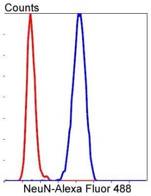 Flow Cytometry: RBFOX3/NeuN Antibody (SR45-07) [NBP2-67314]