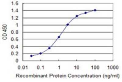 ELISA: RBM12 Antibody (1D12) [H00010137-M05]