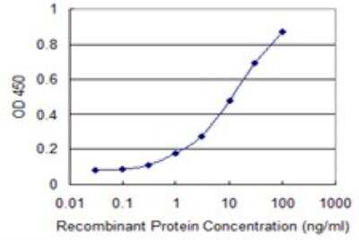 ELISA: RBM3 Antibody (4D6) [H00005935-M06]