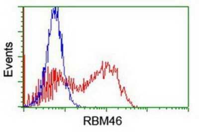 Flow Cytometry: RBM46 Antibody (OTI1D6) [NBP2-01993]