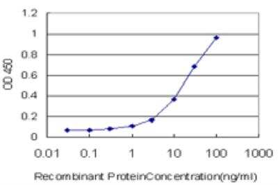 ELISA: RBMS2 Antibody (4E2) [H00005939-M04]