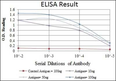 ELISA: RBP4/Retinol-Binding Protein 4 Antibody (4C2) - BSA Free [NBP2-37614]