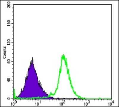 Flow Cytometry: RBP4/Retinol-Binding Protein 4 Antibody (4C2) - BSA Free [NBP2-37614]