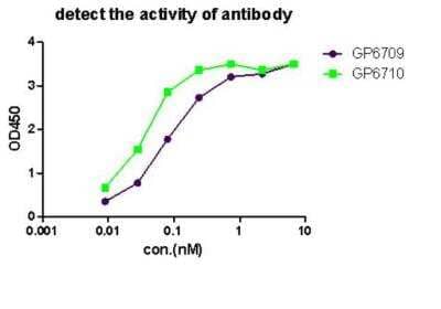 ELISA: RBPMS Antibody [NBP2-80389]