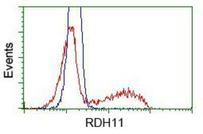 Flow Cytometry: RDH11 Antibody (OTI1B4) [NBP2-02431]
