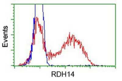 Flow Cytometry: RDH14 Antibody (OTI1A7) [NBP2-03667]