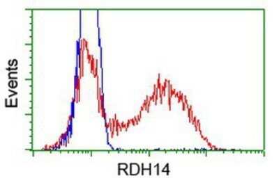 Flow Cytometry: RDH14 Antibody (OTI1A7) - Azide and BSA Free [NBP2-73847]