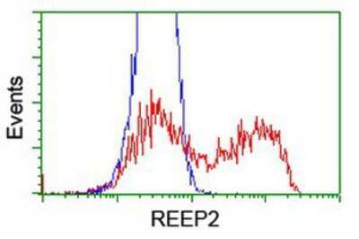 Flow Cytometry: REEP2 Antibody (OTI2C7) [NBP2-01796]