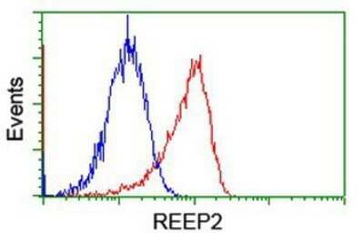 Flow Cytometry: REEP2 Antibody (OTI2C7) - Azide and BSA Free [NBP2-73849]