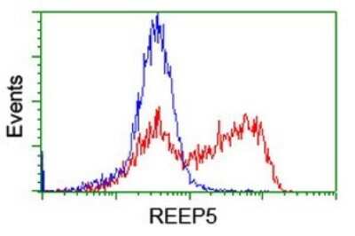 Flow Cytometry: REEP5 Antibody (OTI4D2) [NBP2-45945]