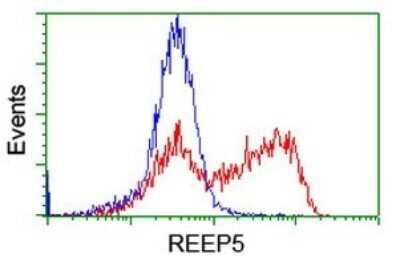 Flow Cytometry: REEP5 Antibody (OTI4D2) - Azide and BSA Free [NBP2-73850]