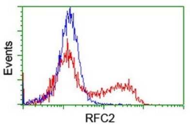 Flow Cytometry: RFC2 Antibody (OTI2B2) [NBP2-45570]